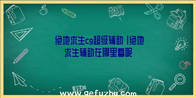 「绝地求生cg超级辅助」|绝地求生辅助在哪里看呢